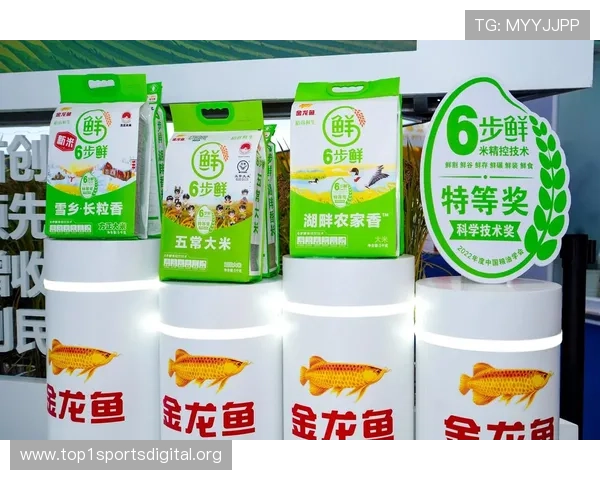 博鱼体育官方网站入口登录流程详解，助力用户快速进入体育竞技与娱乐互动平台