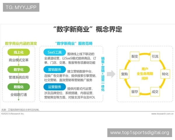 线上竞猜网站的盈利模式分析,帮助运营者优化策略实现持续盈利 线上竞猜网站的盈利模式分析,帮助运营者优化策略实现持续盈利
