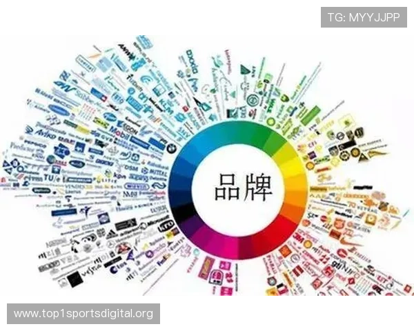 半岛综合体育推手怎么样:全面解析其品牌实力与市场口碑 半岛综合体育推手怎么样:全面解析其品牌实力与市场口碑